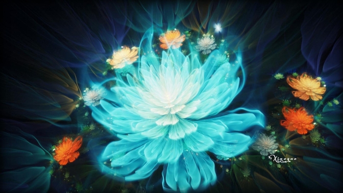 Волшебные цветы