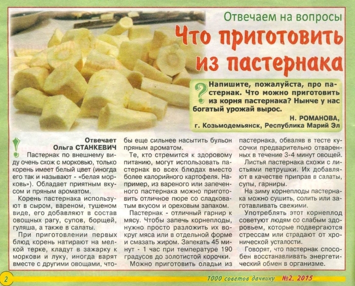 Блюда из пастернака