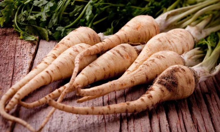 Корень петрушки