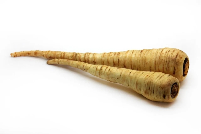 Белый корень пастернак петрушка