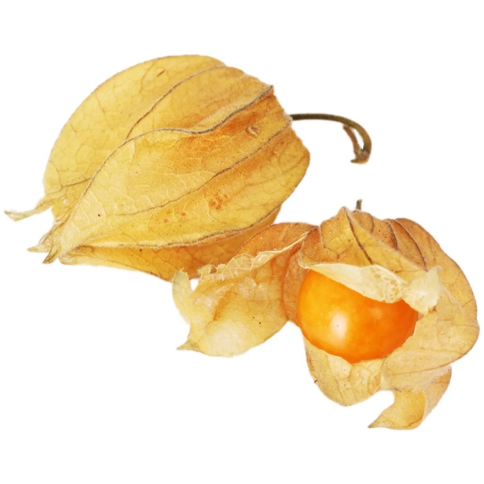 Физалис перуанский