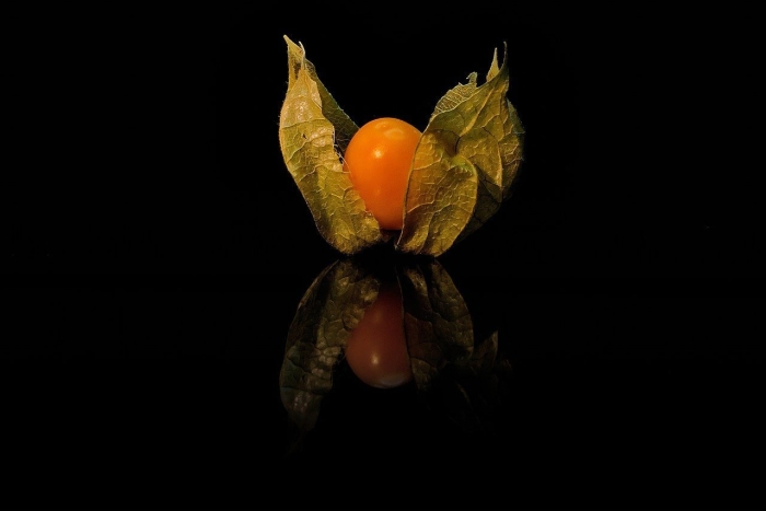 Физалис фрукт