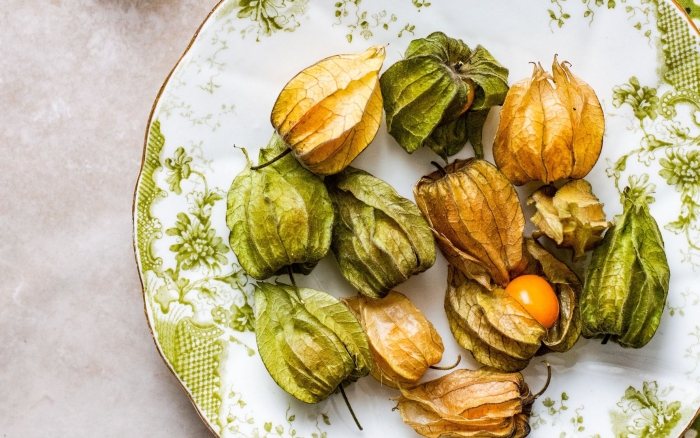 Физалис лакомка