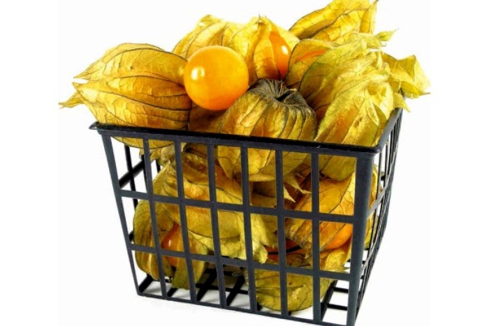 Физалис упак 100г