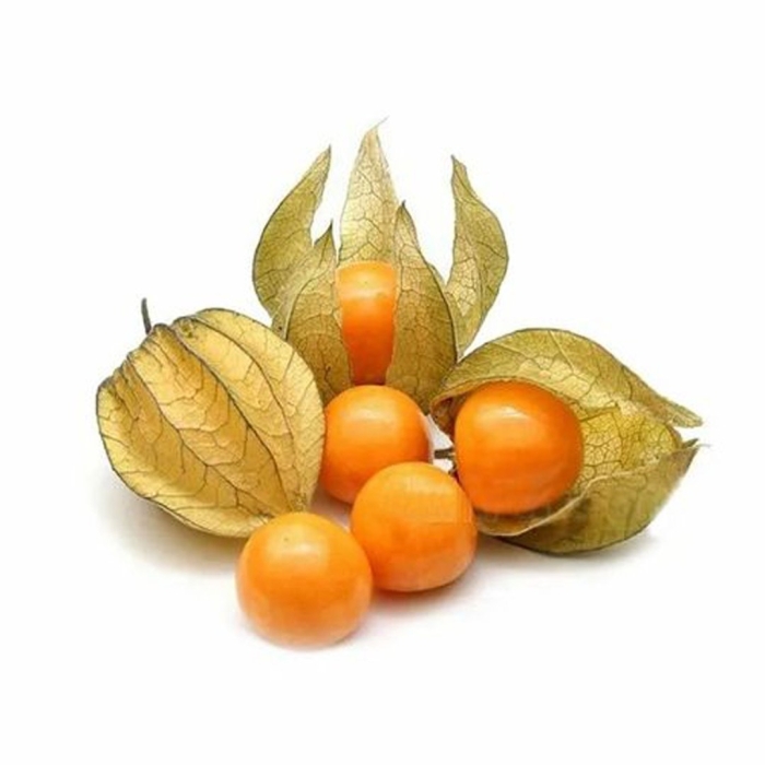 Физалис фрукт