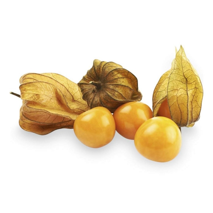 Физалис золотая россыпь