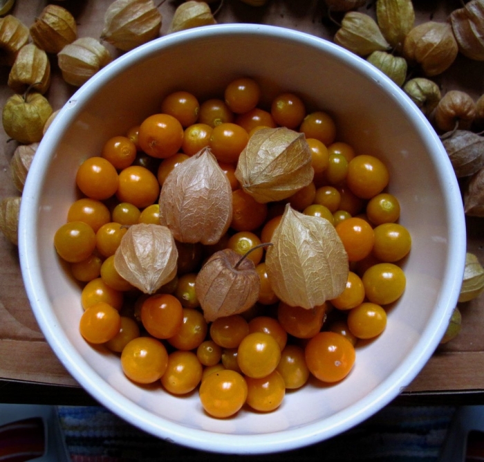 Физалис съедобный земляничный