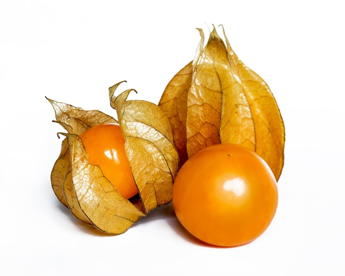 Физалис на белом фоне