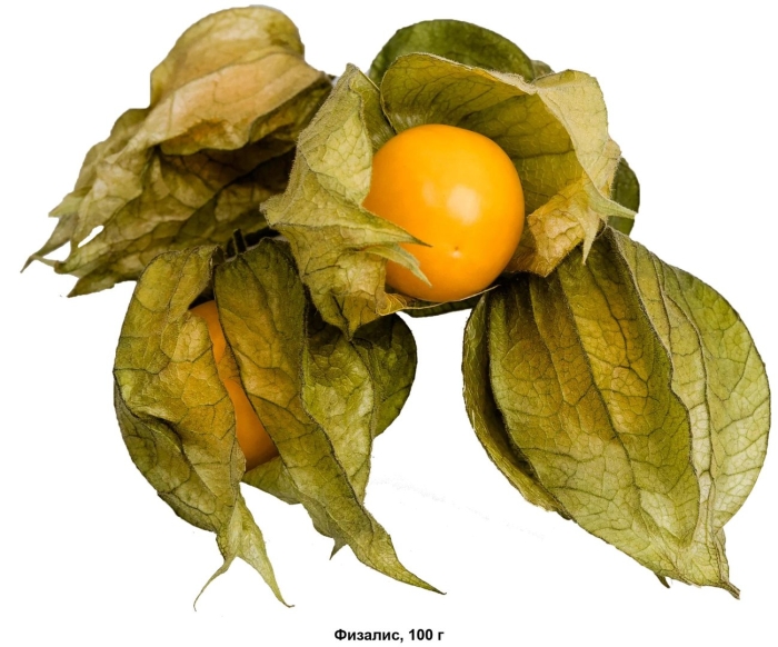 Физалис растение