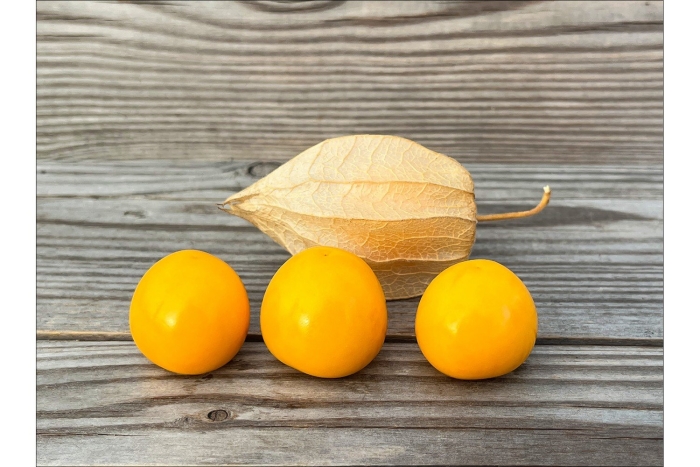 Физалис плод