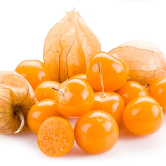 Физалис изюмный