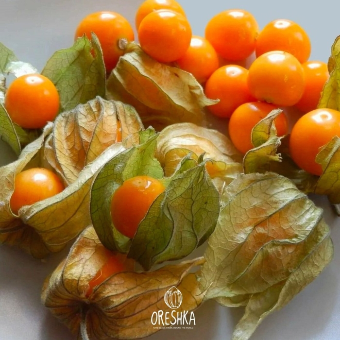 Физалис джемовый