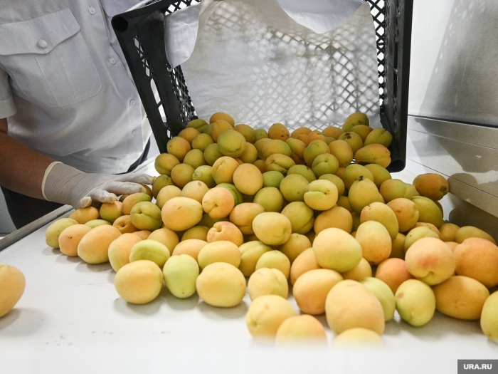 Абрикосы хранение