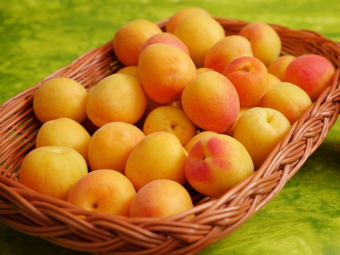 Абрикос сорта