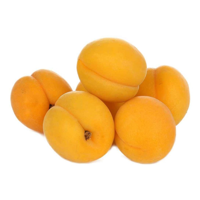 Абрикос шалах узбекистан