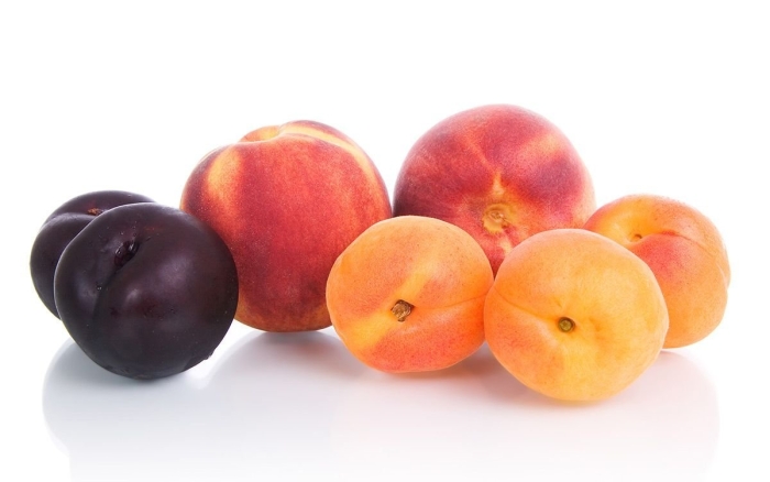 Косточковые плоды абрикос