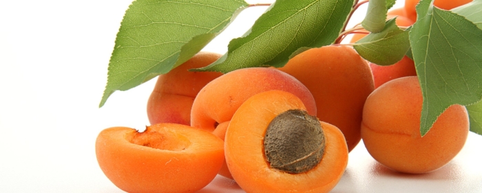 Apricot — абрикос