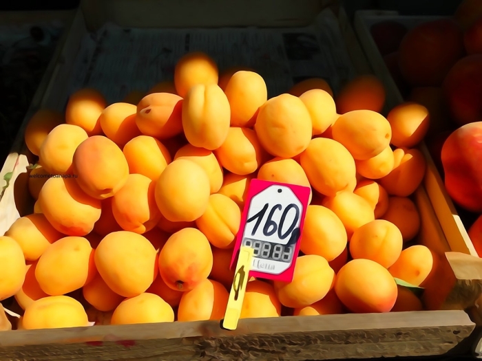 Абрикос витязево