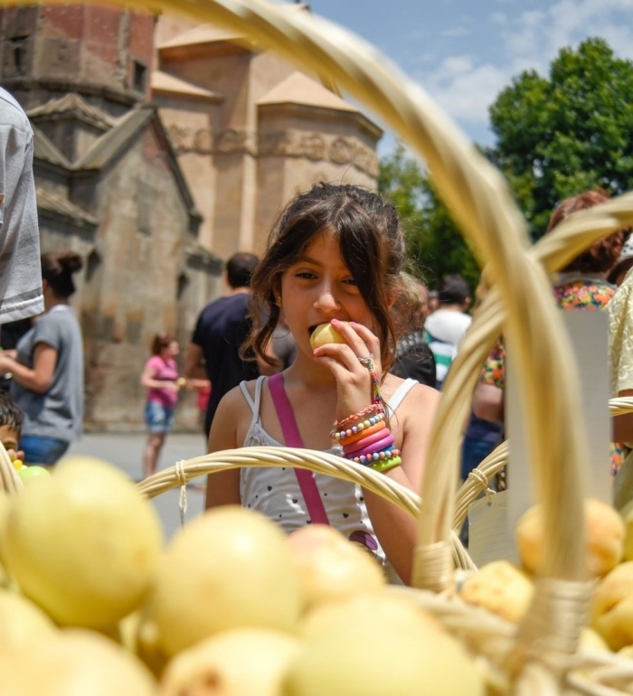 Золотой абрикос армения