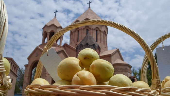 Золотой абрикос армения