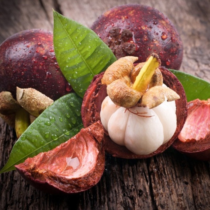 Мангостан мангустин