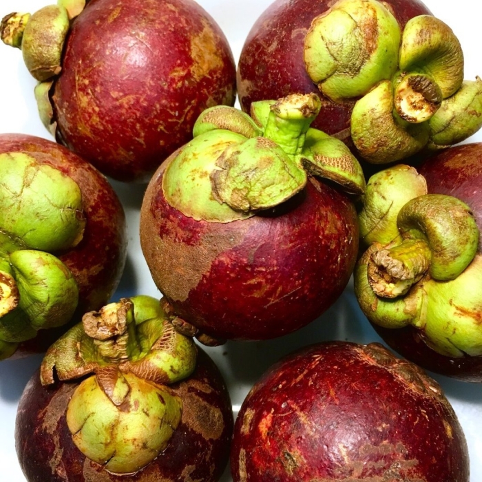 Мангустины фрукты