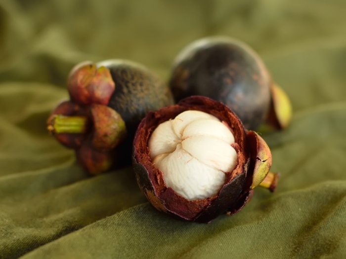 Мангустин фрукт