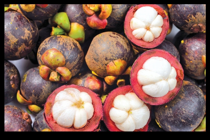 Экзотические ягоды