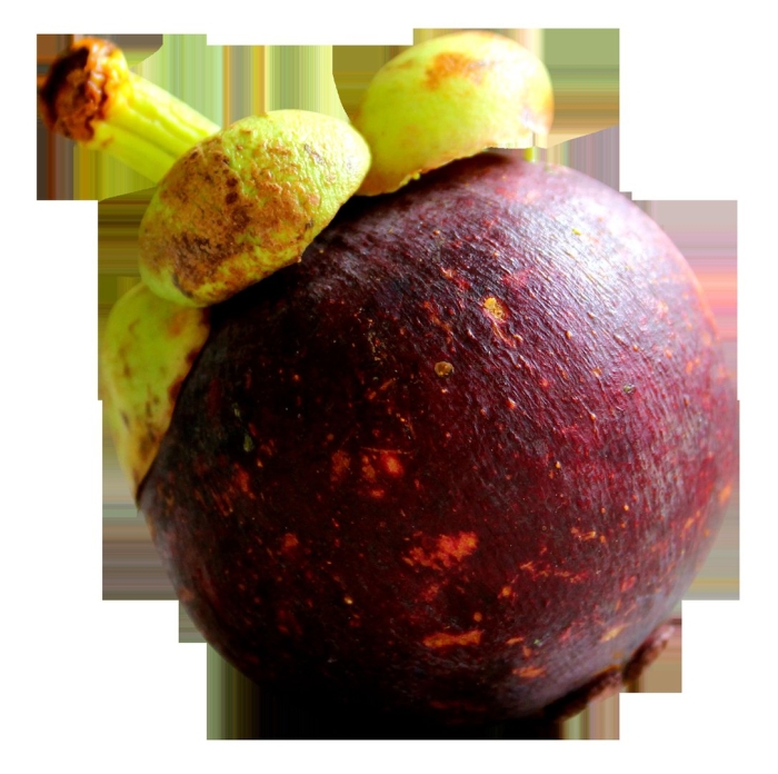 Мангостан мангустин