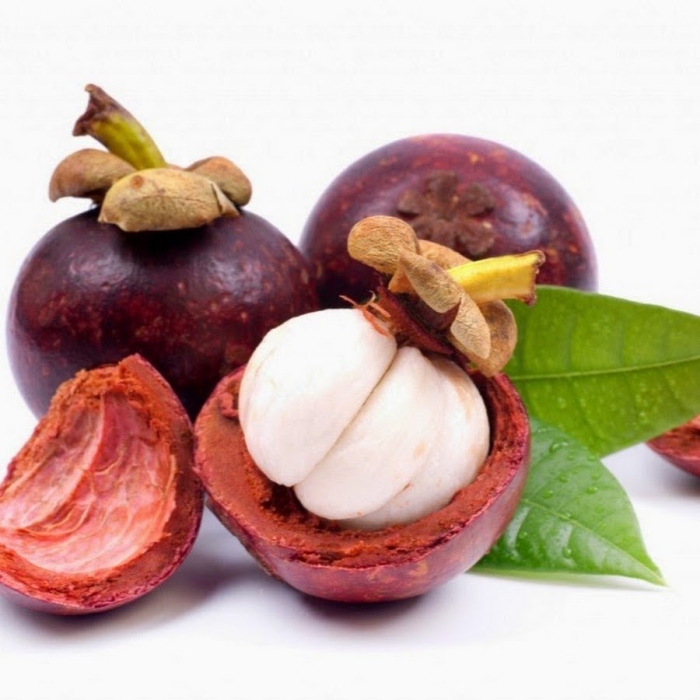 Мангостан мангустин