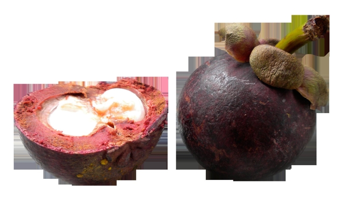 Мангостин 2 шт