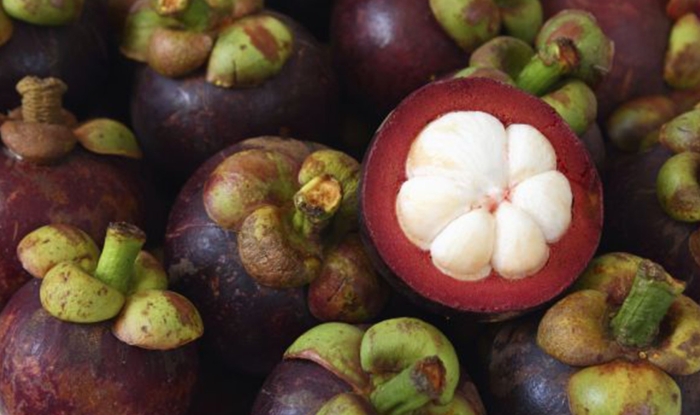 Мангостин бавария