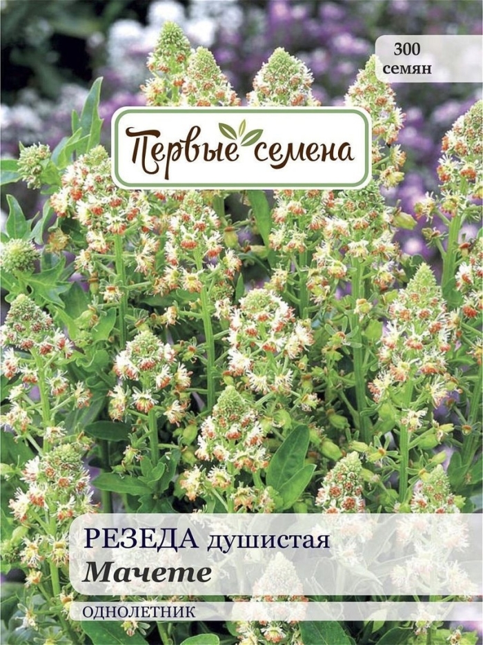 Резеда душистая хавская