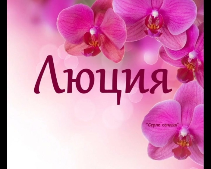 Розовая орхидея