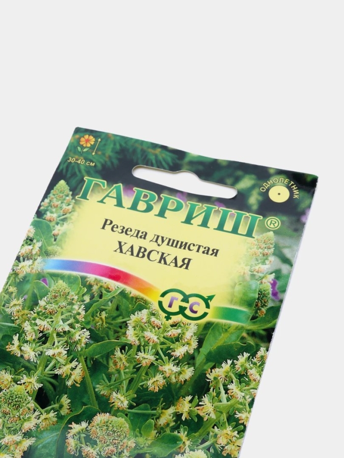 Резеда хавская душистая гавриш