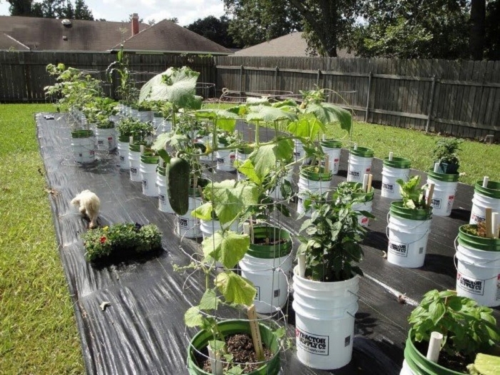 Огород в контейнерах