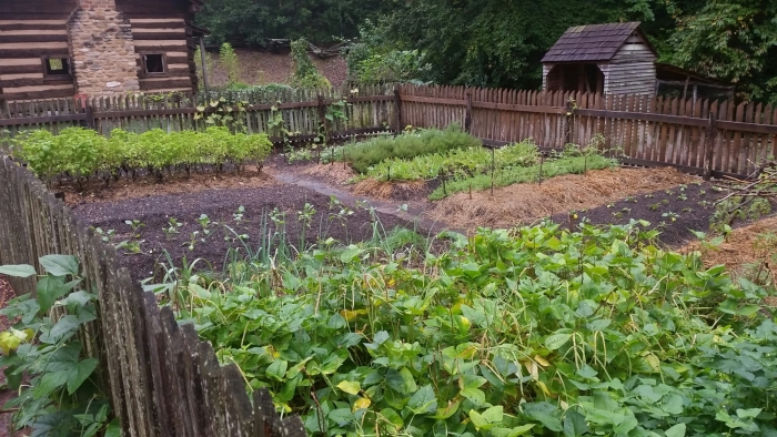 Огород в деревне