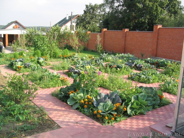 Декоративные огороды