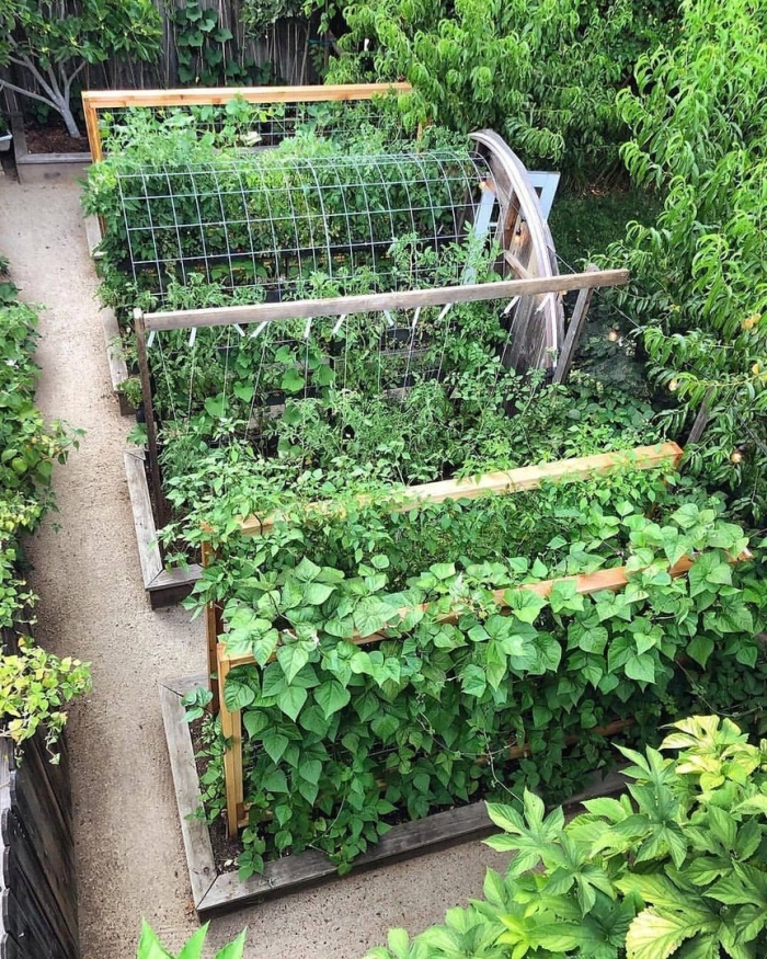 Огород на маленьком участке