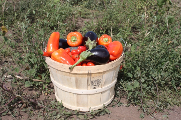 Большой урожай