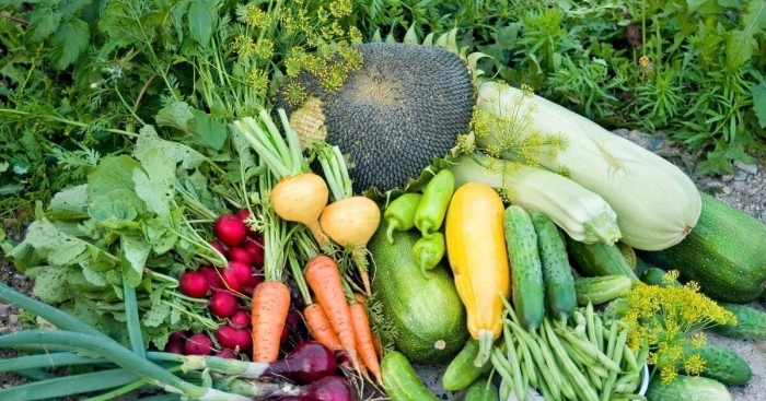 Овощи с огорода