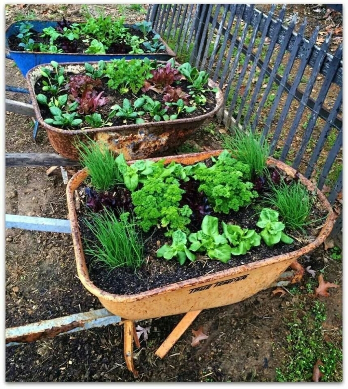 Идеи для огорода