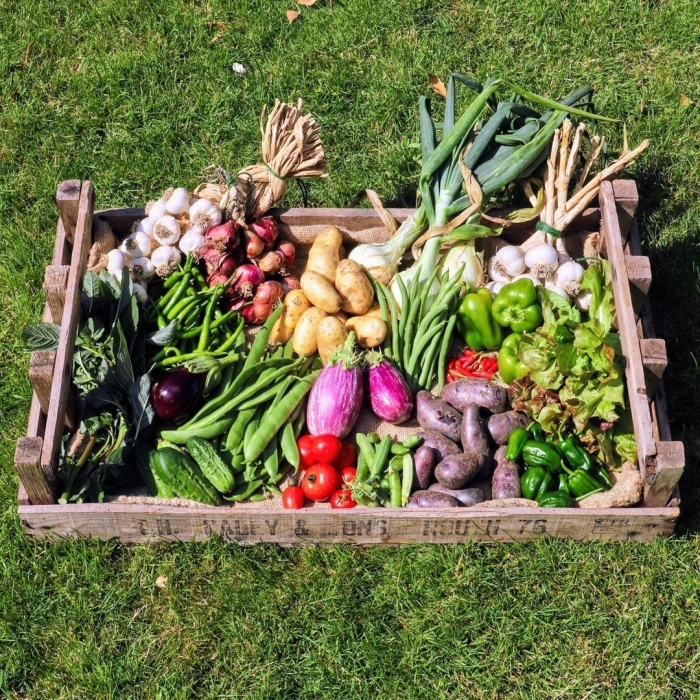 Овощи с огорода