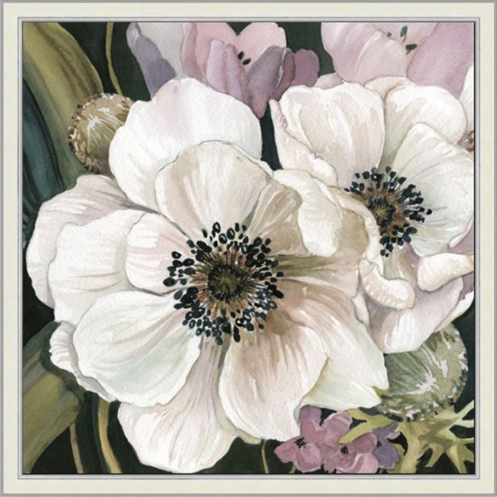 Анемоны хофф картина