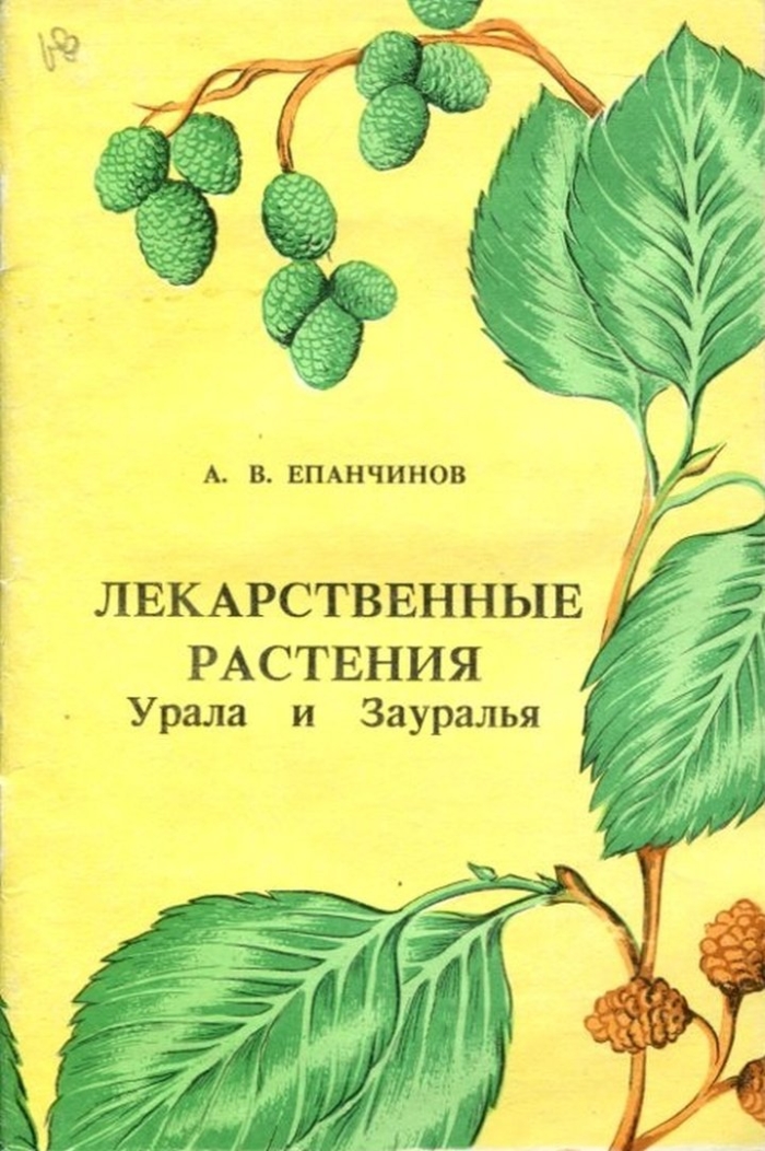 Лекарственные растения урала и зауралья