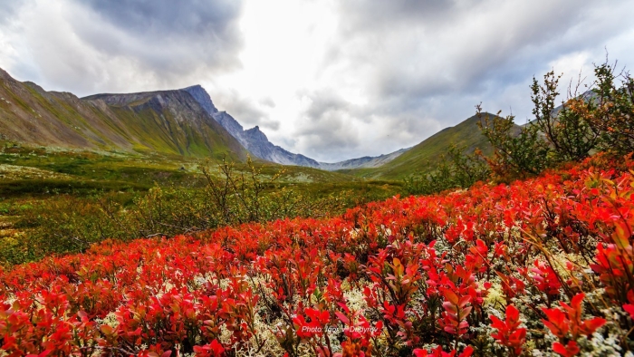 Хибины осень