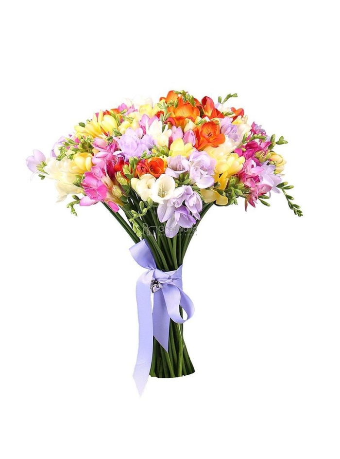 Альстромерия 15 шт букет