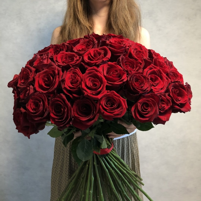 Роза эксплорер 60 см