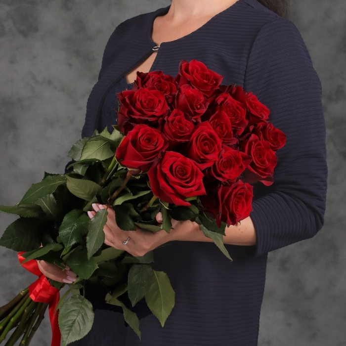 Роза эксплорер