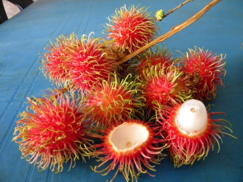 Рамбутан косточка